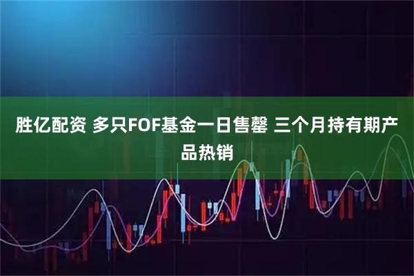 胜亿配资 多只FOF基金一日售罄 三个月持有期产品热销