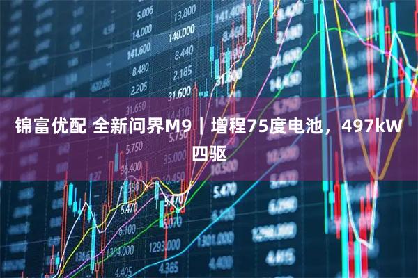 锦富优配 全新问界M9｜增程75度电池，497kW四驱