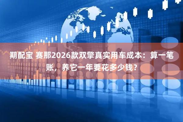 期配宝 赛那2026款双擎真实用车成本：算一笔账，养它一年要花多少钱？