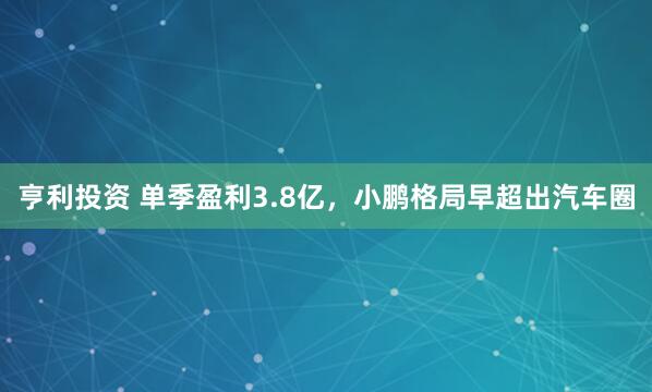 亨利投资 单季盈利3.8亿，小鹏格局早超出汽车圈