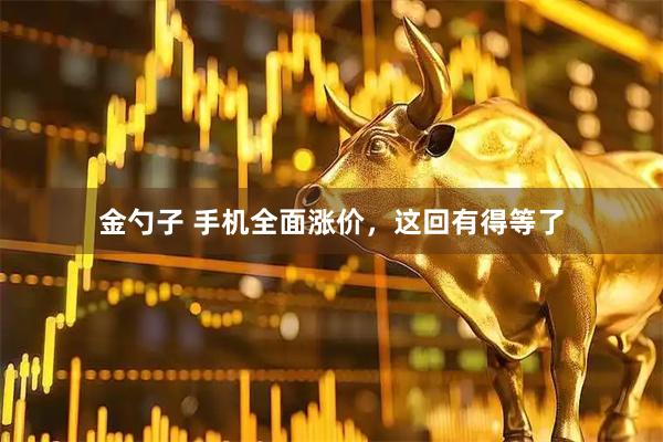 金勺子 手机全面涨价，这回有得等了