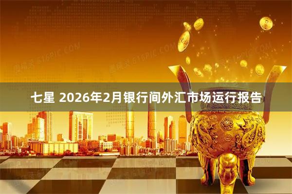 七星 2026年2月银行间外汇市场运行报告