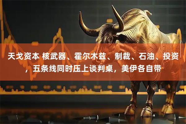 天戈资本 核武器、霍尔木兹、制裁、石油、投资，五条线同时压上谈判桌，美伊各自带