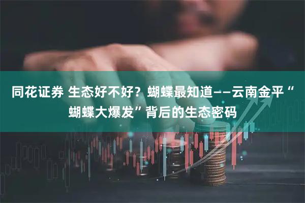 同花证券 生态好不好？蝴蝶最知道——云南金平“蝴蝶大爆发”背后的生态密码
