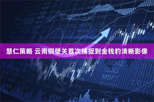 慧仁策略 云南铜壁关首次捕捉到金钱豹清晰影像