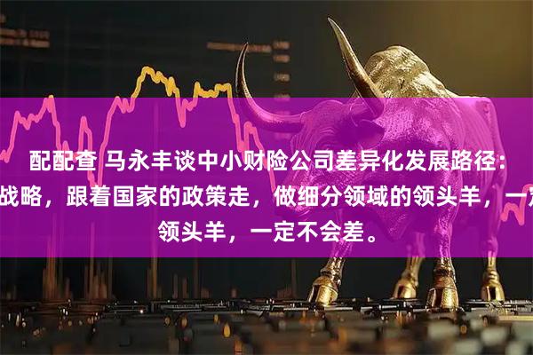 配配查 马永丰谈中小财险公司差异化发展路径：服务国家战略，跟着国家的政策走，做细分领域的领头羊，一定不会差。